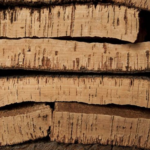 procesos tradicionales extracción del corcho