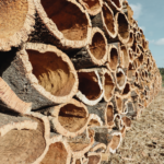 Corcho natural: El material estrella de la economía circular corcho natural